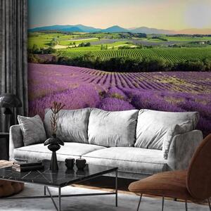 Carta da parati moderna Campo di lavanda - paesaggio di valle con campi verdi e montagne al tramonto