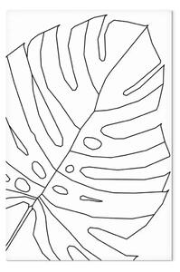 Quadro moderno Contorno nero di foglie di monstera - Astrazione su uno sfondo bianco