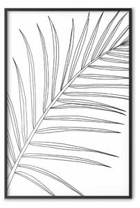 Poster: Foglia di palma - line art nera di foglia su bianco