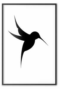 Poster: Colibrì nero - uccello nero solido su sfondo bianco contrastante