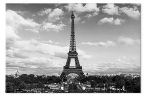 Quadro moderno Torre Eiffel in bianco e nero largo - architettura di Parigi