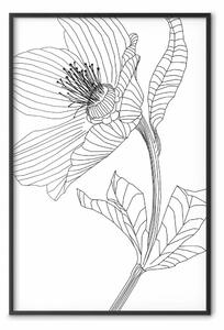 Poster: Schizzo primaverile - line art pianta su bianco