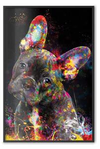 Poster: Marufi - ritratto astratto di un cane nero con dettagli colorati