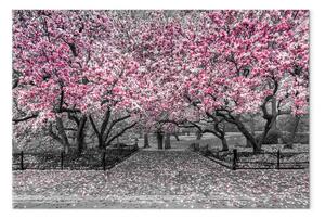 Quadro su tela Parco di magnolie largo - fiori rosa in atmosfera grigia