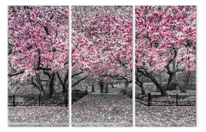 Quadro moderno Magnolia fiorita - trittico con alberi di magnolia e fiori rosa