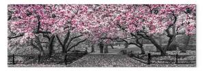 Quadro Parco di magnolie stretto - fiori rosa in atmosfera grigia