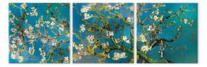 Quadro contemporaneo Mandorlo fiorito (3 pezzi) - albero tortuoso con fiori bianchi