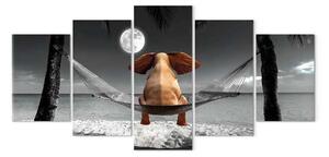 Quadro moderno Elefante sull'amaca (5 pezzi) largo - elefante fantasia sulla spiaggia