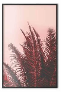 Poster: Palme al tramonto - composizione botanica con piante tropicali
