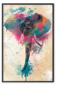 Poster: Proboscide dell'elefante