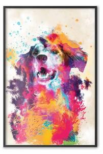 Poster: Cane acquerello - unica astrazione colorata con animale domestico