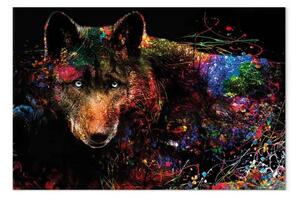 Quadro contemporaneo Ombra colorata largo - lupo multicolore astratto