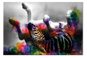 Quadro su tela Zebra felice largo - animale astratto colorato