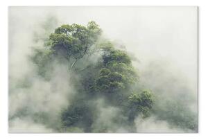 Quadro moderno Amazzonia nebbiosa largo - paesaggio di foresta esotica