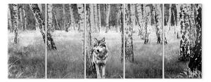 Quadro su tela Predatore solitario (5 pezzi) stretto - lupo in foresta bianco e nero