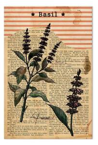 Quadro contemporaneo Poesia del basilico verticale - pianta in motivo vintage