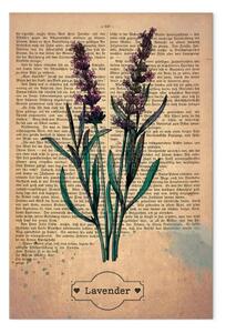 Quadro Memoria di lavanda verticale - lavanda in stile vintage