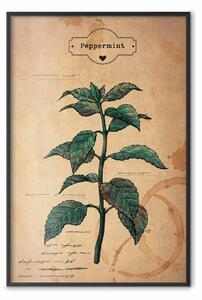 Poster: Fantasia alla menta - composizione con pianta verde su sfondo