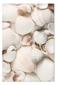 Quadro moderno Collezione marina verticale - panorama con conchiglie marine
