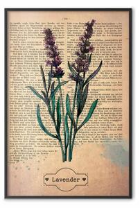 Poster: Ricordo di lavanda - composizione con fiori di lavanda e scritte
