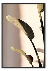 Poster: Ritmo solare - composizione con foglia verde