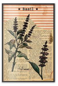 Poster: Poesia al basilico - composizione vintage con piante e scritte