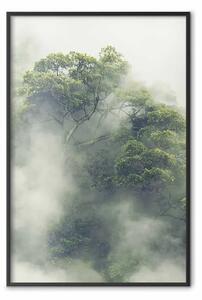 Poster: Amazzonia nebbiosa - paesaggio di cime verdi tra una fitta nebbia