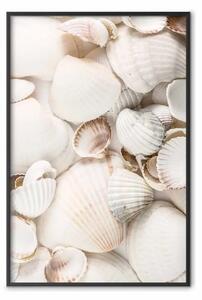 Poster: Collezione marittima