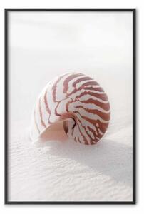 Poster: Guscio di agosto
