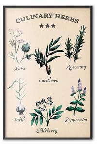 Poster: Erbe da cucina - composizione di piante commestibili con scritte nere