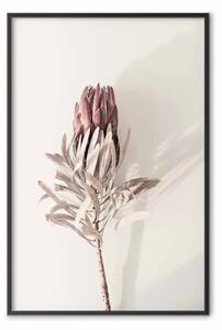 Poster: Bocciolo tropicale - pianta tropicale secca con fiore su sfondo chiaro