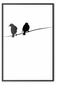 Poster: Conversazioni di uccelli - uccelli su fili su sfondo bianco