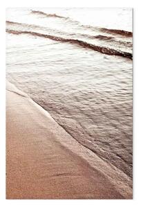 Quadro su tela Ritmo di settembre - spiaggia seppia