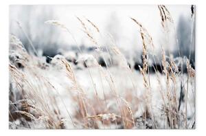 Quadro Terra di Ghiaccio orizzontale - Paesaggio invernale