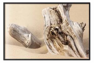 Poster: Passato scoperto - spiaggia con pezzo di legno marrone