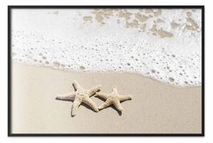 Poster: Ricordo delle vacanze - spiaggia con stelle di mare