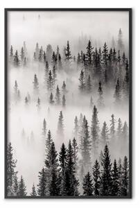 Poster: Zona selvaggia