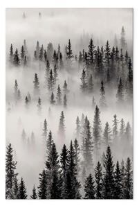 Quadro moderno Rifugio verticale - Paesaggio di foresta oscura e nebbiosa
