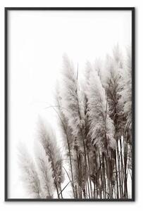 Poster: In attesa del vento - piante in paesaggio monocromatico