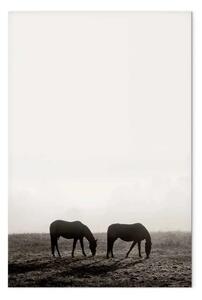Quadro moderno Cavalli al mattino - paesaggio raffigurante gli animali al pascolo all'alba