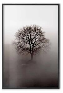 Poster: La forza dormiente dell'albero - albero spoglio nella nebbia