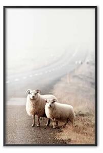 Poster: Viaggiatori straordinari - animali lungo la strada tra campi