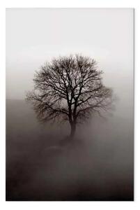 Quadro su tela Il potere dietro l'albero - Albero scuro nella nebbia