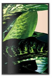 Poster: Dieffenbachia - paesaggio di una pianta verde su sfondo chiaro