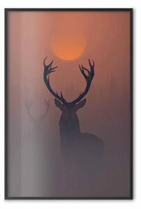 Poster: Cervi nella nebbia - animale al tramonto durante la nebbia