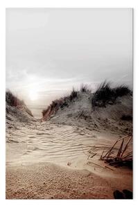 Quadro Attraverso Dune - Spiaggia con mare