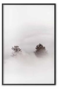 Poster: Sussurro nebbia - alberi in densa nebbia