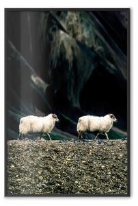 Poster: Dietro di me! - animali su sfondo verde sfocato