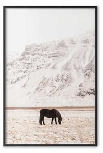 Poster: Solitudine valle - animale nero su monti