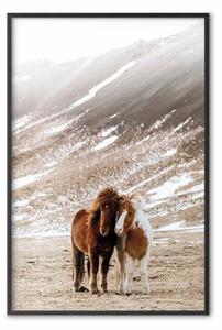 Poster: Amicizia calda - coppia di animali autunnali
